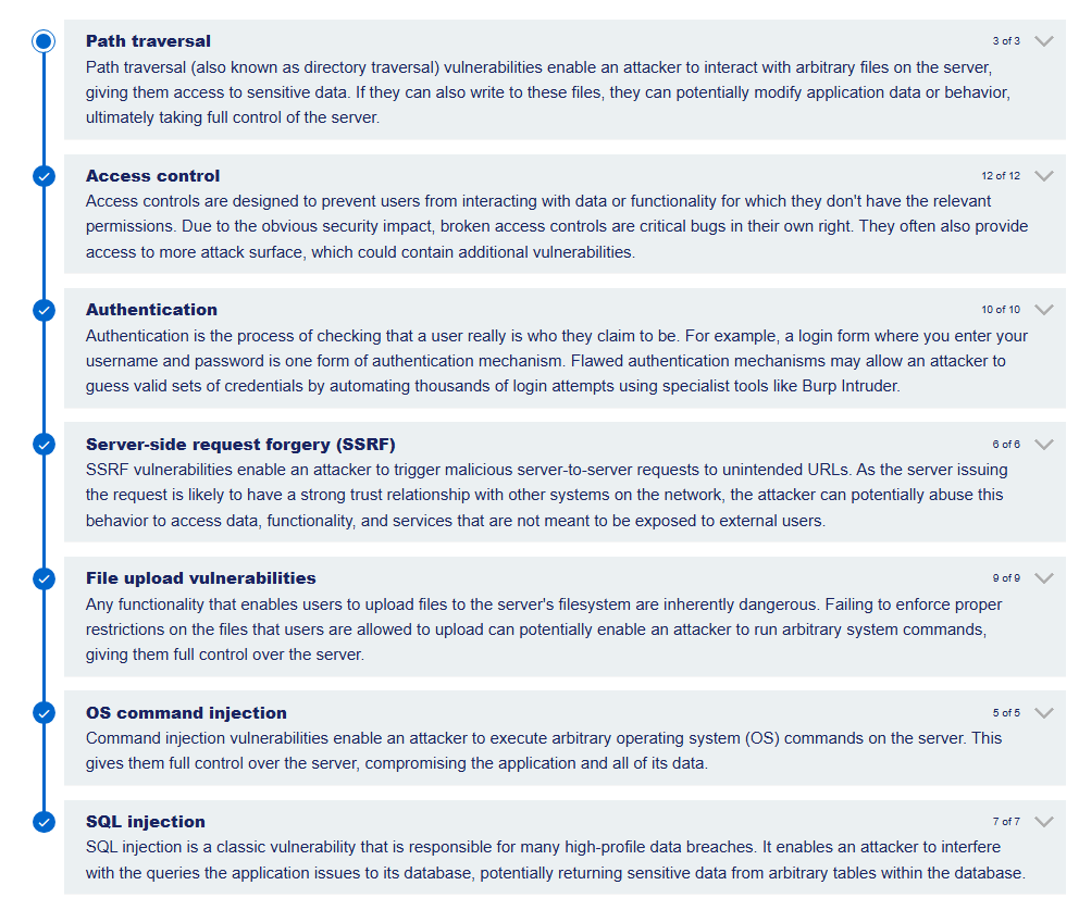 Burp Suite Academy Labs progress