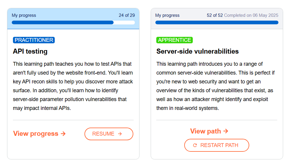Burp Suite Academy Labs progress